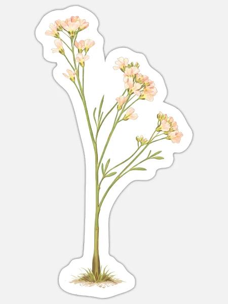Zarte Blüten - Sticker Größe S (10 x 10 cm) - Mattweiß