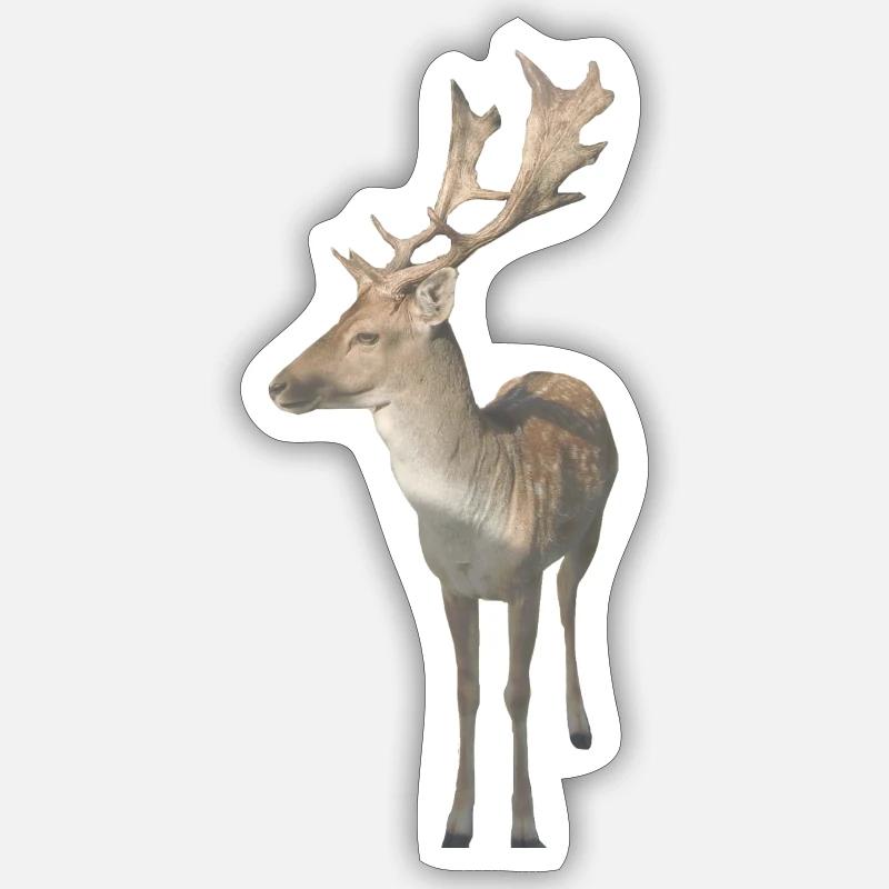 Deer - Sticker size S (10 x 10 cm) - white matte