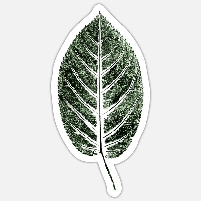 Beech Sheet / Leaf / GREEN Sticker size S (10 x 10 cm)