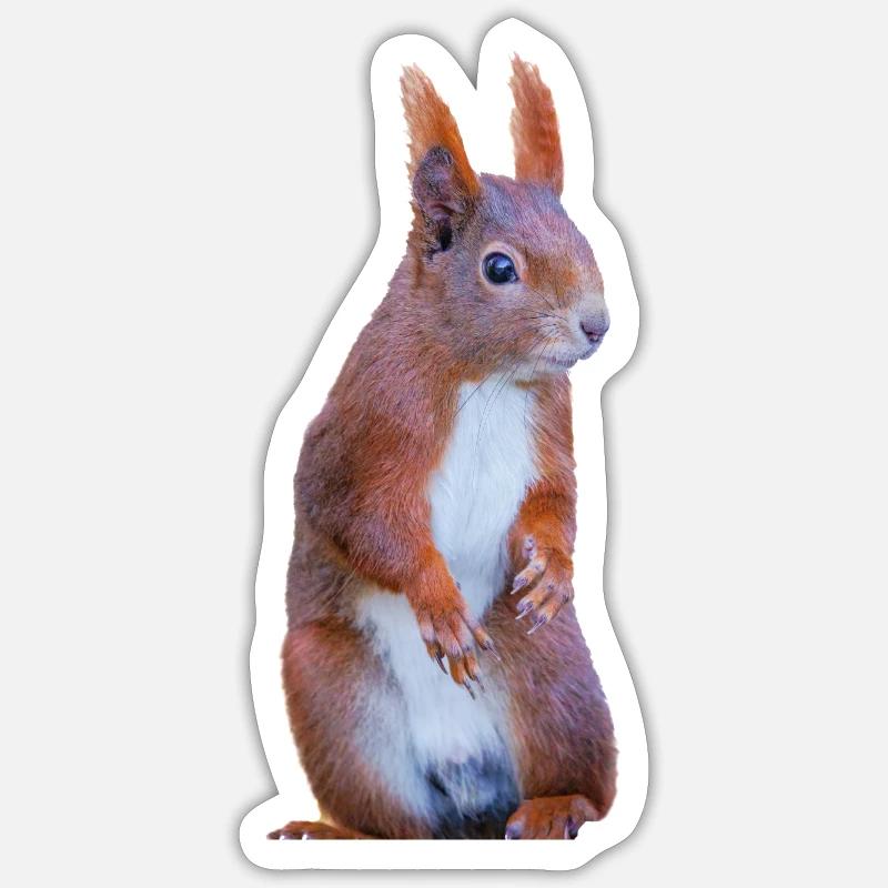 Eichhönchen - Sticker taille S (10 x 10 cm) - blanc mat