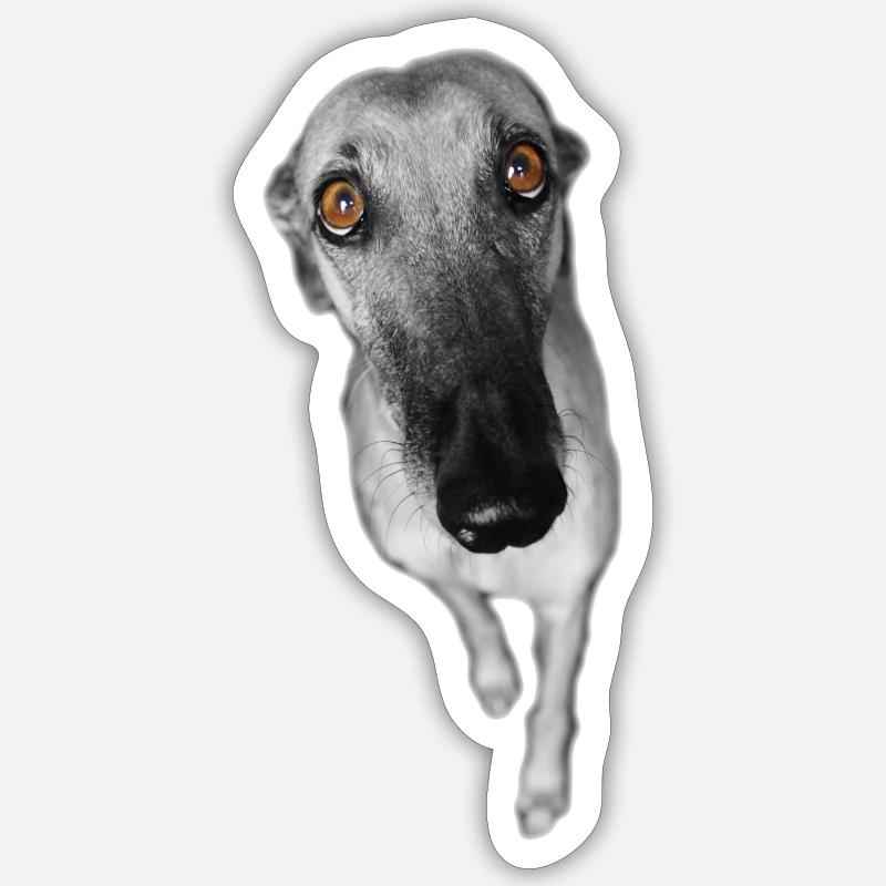 Levrette - Sticker taille S (10 x 10 cm) - blanc mat