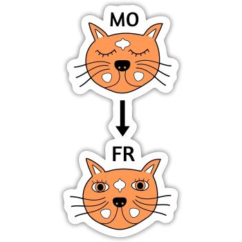 Monday to Friday - Sticker size S (10 x 10 cm) - white matte - Front