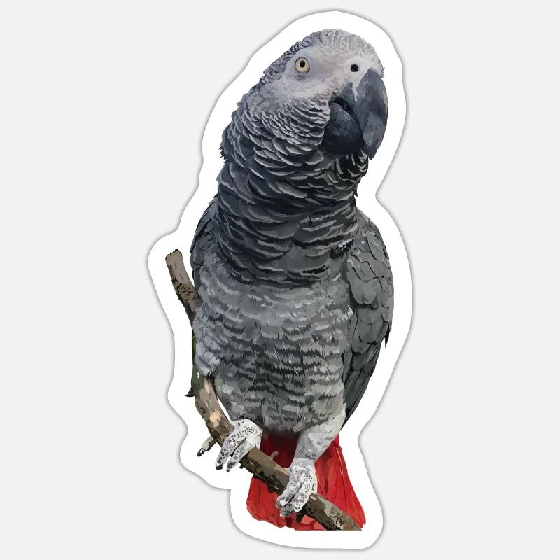 Grey parrot - Sticker size S (10 x 10 cm) - white matte