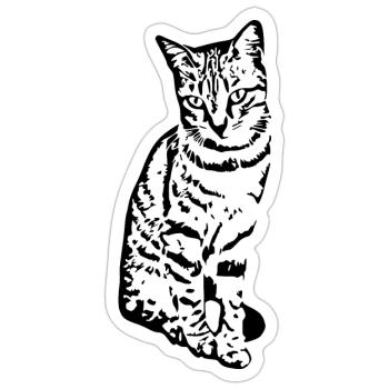 Katze Kätzchen Tigerkatze Katzenshirt Geschenk - Sticker Größe S (10 x 10 cm) - Mattweiß - Vorne