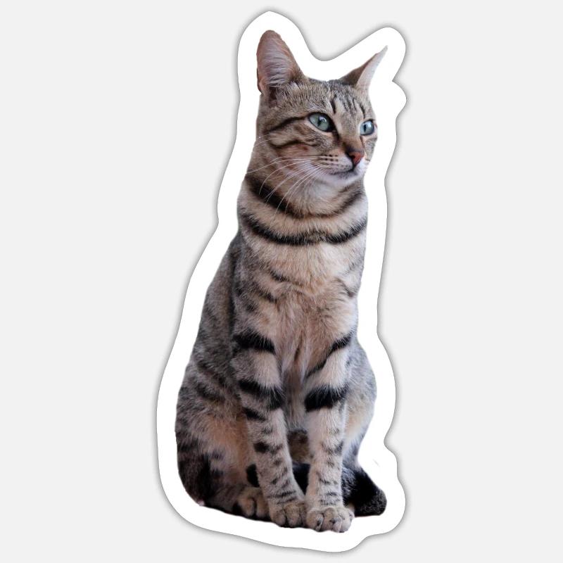 Cat - Sticker size S (10 x 10 cm) - white matte