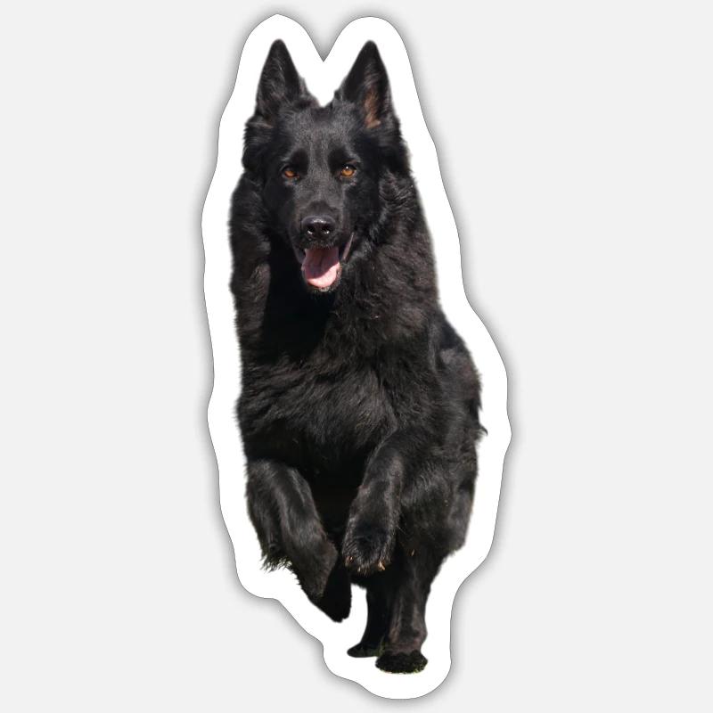 black shepherd front - Sticker size S (10 x 10 cm) - white matte