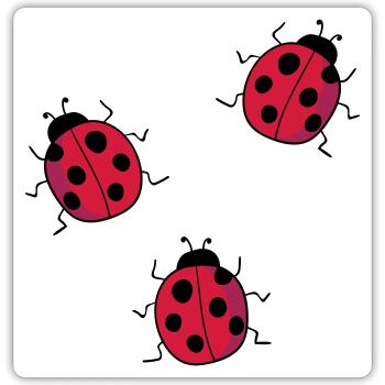 ladybug - Sticker size S (10 x 10 cm) - white matte - Front