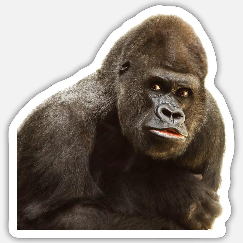 gorilla - Sticker size S (10 x 10 cm) - white matte