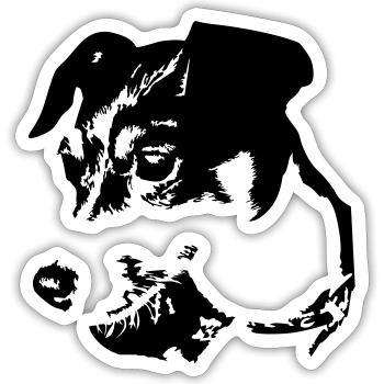Jack Russell Terrier head - Sticker size S (10 x 10 cm) - white matte - Front