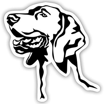 Tête de braque de Weimar - Sticker taille S (10 x 10 cm) - blanc mat - Devant