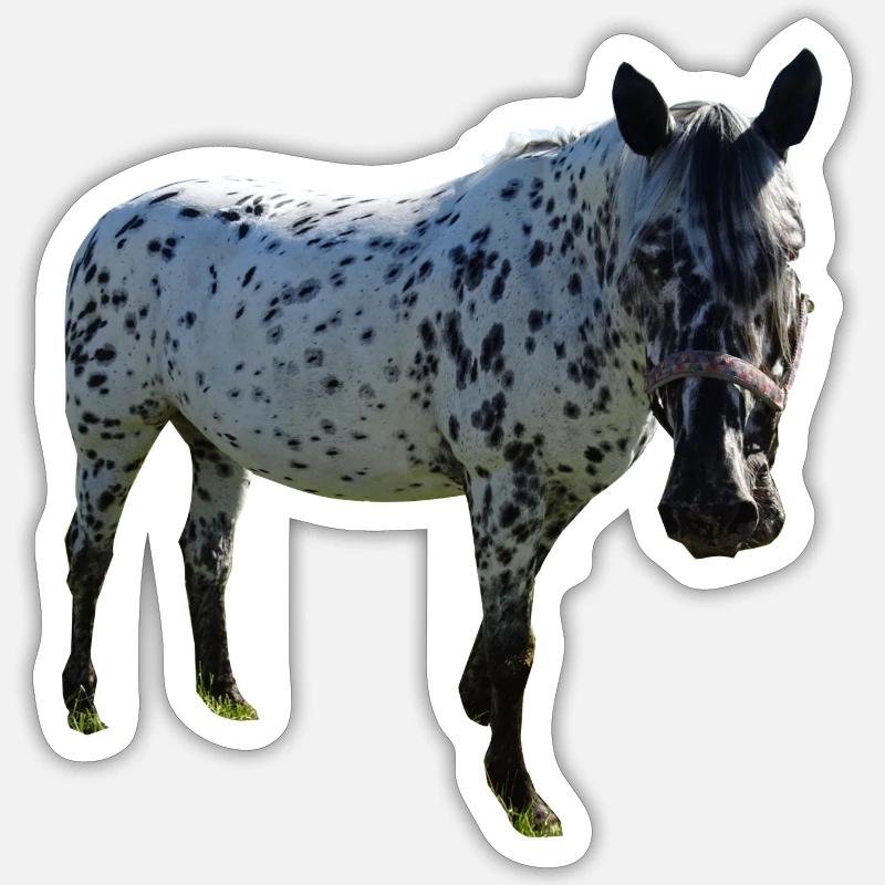 Petit oncle - Sticker taille S (10 x 10 cm) - blanc mat
