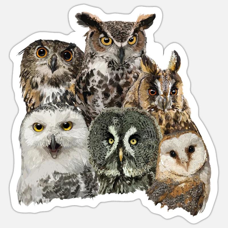 Hiboux - Sticker taille S (10 x 10 cm) - blanc mat