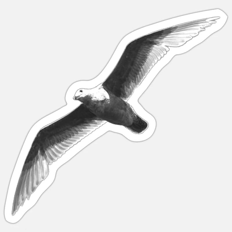 Schwarz Weiss Möwe Im Flug - Sticker Größe S (10 x 10 cm) - Mattweiß