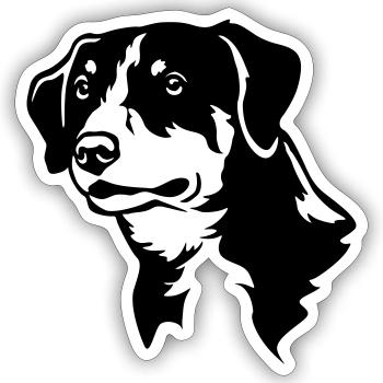 Tête de chien de montagne Entlebucher « Black Edition » - Sticker taille S (10 x 10 cm) - blanc mat - Devant