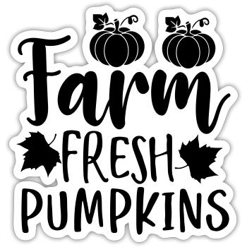 Farm Fresh Pumpkins 01 - Sticker size S (10 x 10 cm) - white matte - Front