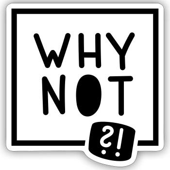 Why not?! - Sticker Größe S (10 x 10 cm) - Mattweiß - Vorne