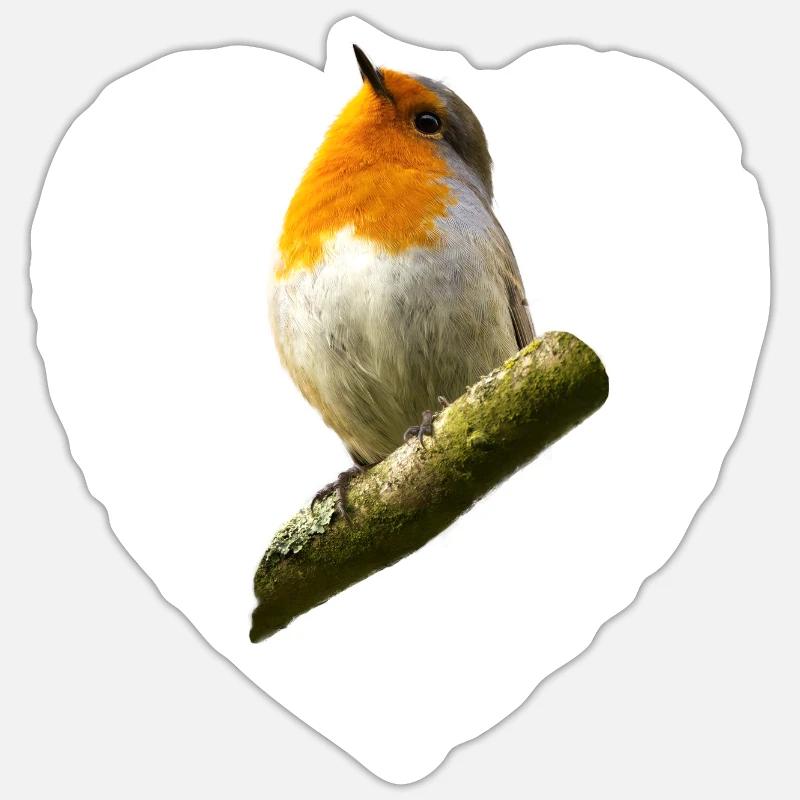 Rotkehlchen Singvogel Sticker Größe S (10 x 10 cm)