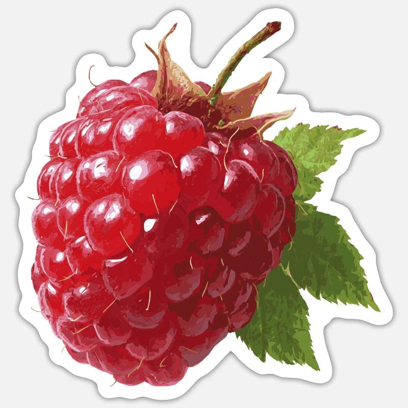 rote Himbeere Sticker Größe S (10 x 10 cm)