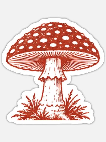 Fliegenpilz Illustration - Sticker Größe S (10 x 10 cm) - Mattweiß