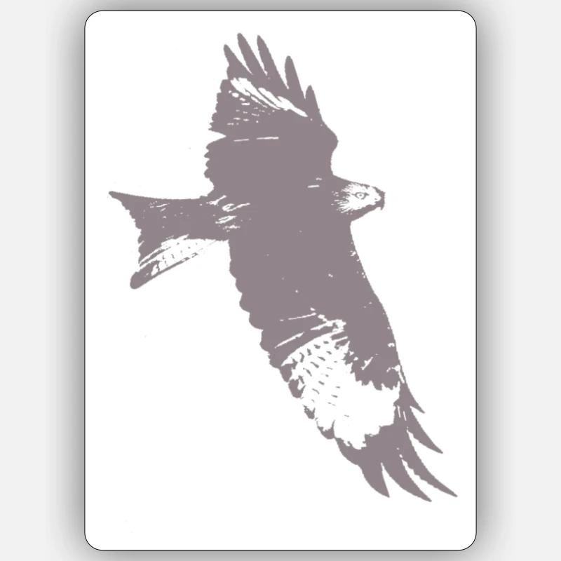 Eagle, falcon, falcon - Sticker size S (10 x 10 cm) - white matte