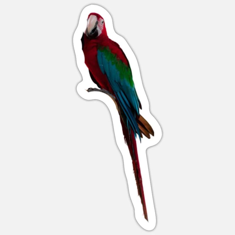 Macaw Long Tail Sticker size S (10 x 10 cm)