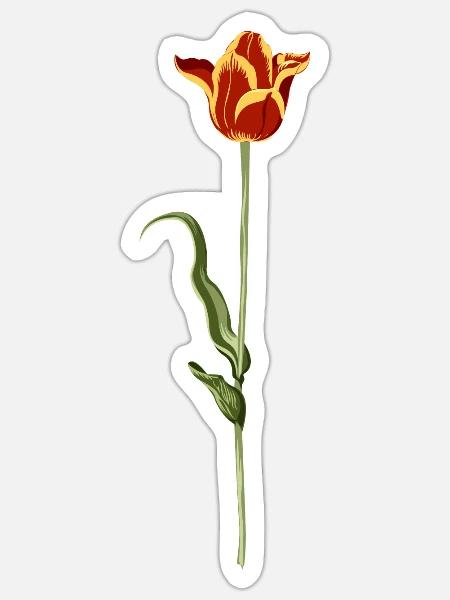 Abendliche Tulpe mit warmen Farbverlauf - Sticker Größe S (10 x 10 cm) - Mattweiß