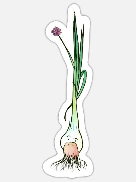Blühende Frühlingszwiebel - Sticker Größe S (10 x 10 cm) - Mattweiß