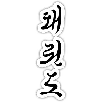 Personnages de Tae Kwon Do - Sticker taille S (10 x 10 cm) - blanc mat - Devant