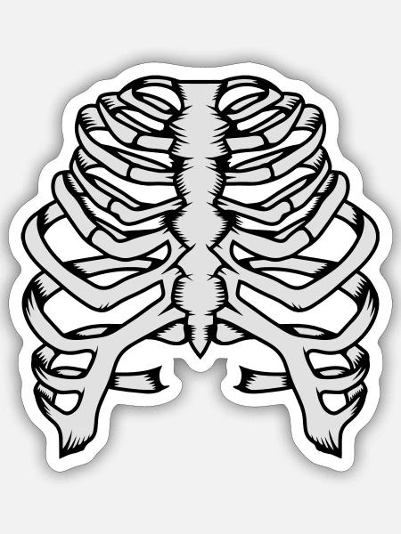 Skelett eines menschlichen Brustkorbs - Sticker Größe S (10 x 10 cm) - Mattweiß