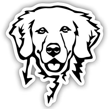 Golden retriever head - Sticker size S (10 x 10 cm) - white matte - Front