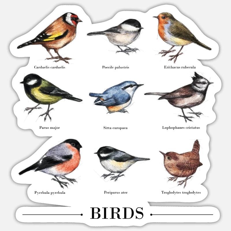 Vintage ptaki - Naklejka rozmiar S (10 x 10 cm) - biały matowy