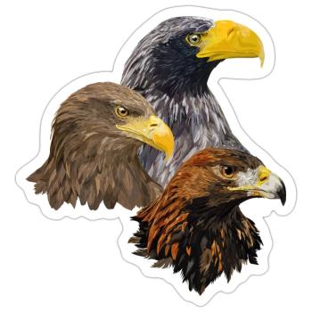 Oiseaux de proie - Sticker taille S (10 x 10 cm) - blanc mat - Devant