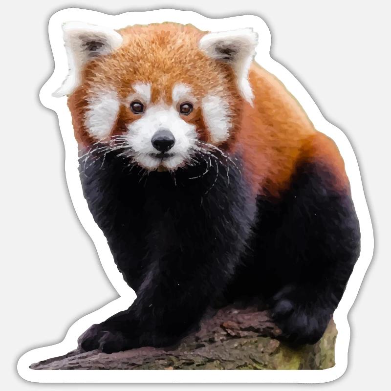 Doux petit panda rouge et mignon chat ours - Sticker taille S (10 x 10 cm) - blanc mat