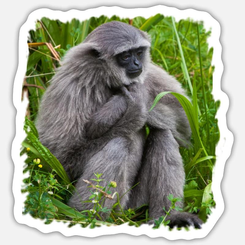 Singe Monkey Gibbon affe - Sticker taille S (10 x 10 cm) - blanc mat
