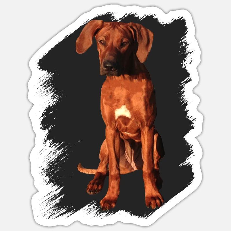 Rhodesian Ridgeback on black background - Sticker size S (10 x 10 cm) - white matte