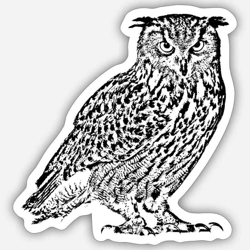 Eagle owl Sticker size S (10 x 10 cm)