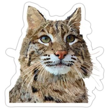 Lynx - Sticker size S (10 x 10 cm) - white matte - Front
