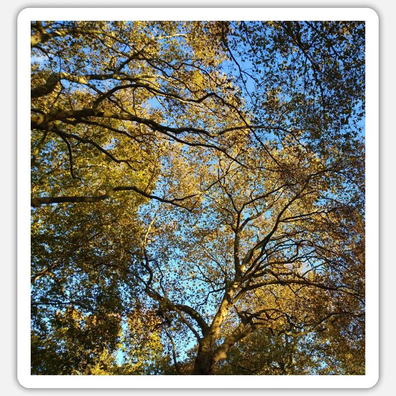Golden tree throne - Sticker size S (10 x 10 cm) - white matte