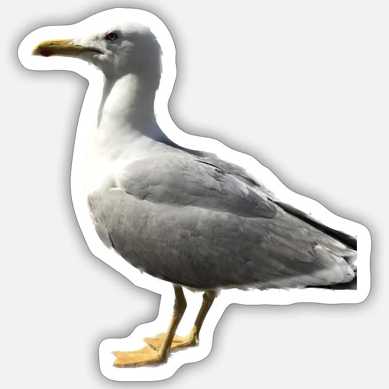 Möwe Vogel Geschenkidee Sticker Größe S (10 x 10 cm)