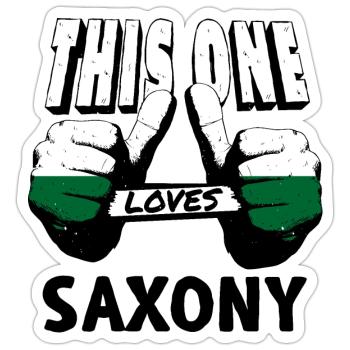Sachsen Flagge Sächsische Fahne Ossi Urlaub SN - Sticker Größe S (10 x 10 cm) - Mattweiß - Vorne