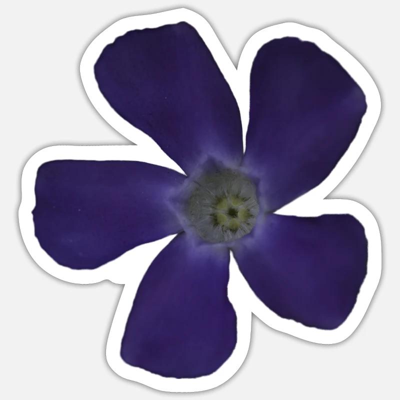 Fleur pourpre pervenche Sticker taille S (10 x 10 cm)