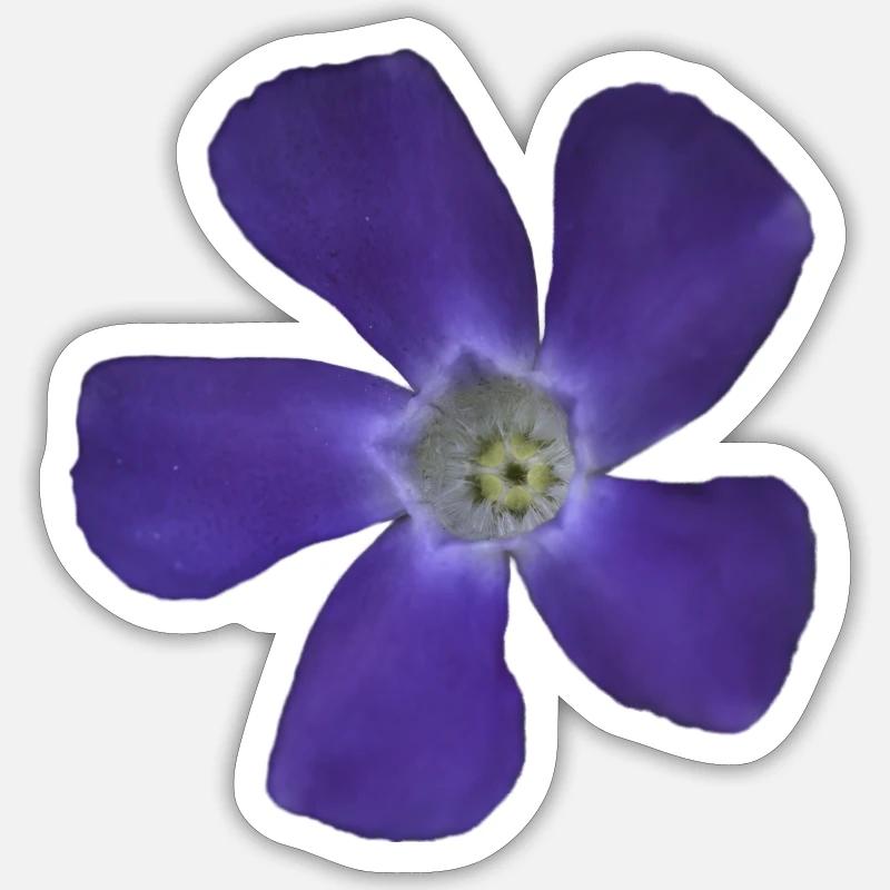 periwinkle, small, light Sticker size S (10 x 10 cm)