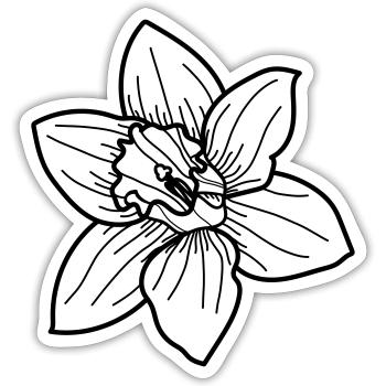 Fleur de jonquille - Sticker taille S (10 x 10 cm) - blanc mat - Devant