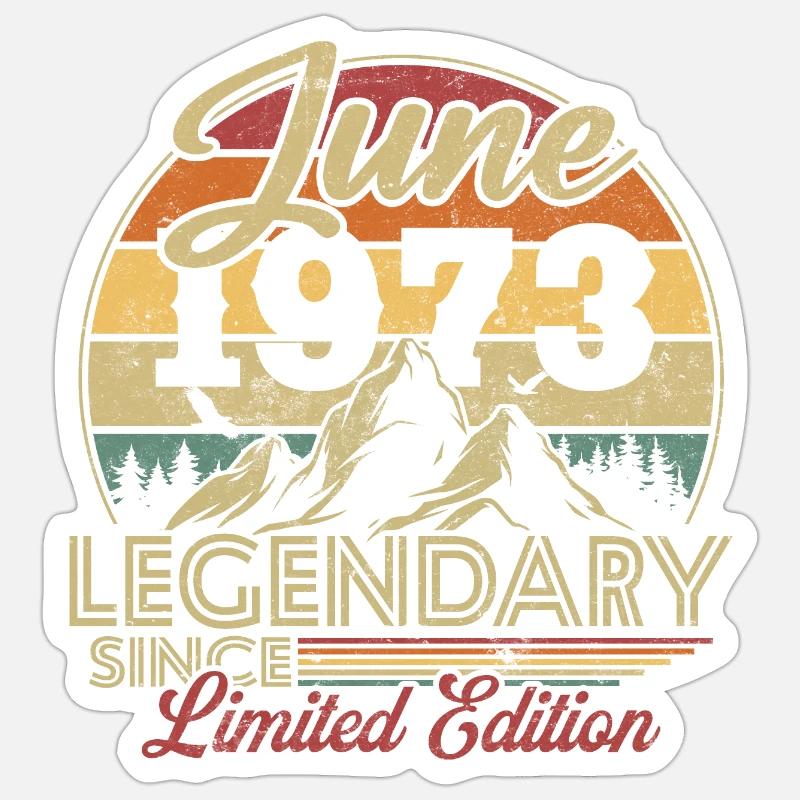 Vintage Retro Juni 1973 Geburtstagsgeschenk Sticker Größe S (10 x 10 cm)