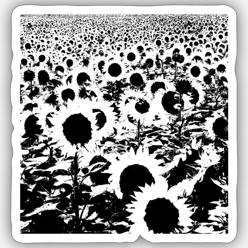 sonnenblumen schwarz Sticker Größe S (10 x 10 cm)