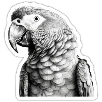 Papagei mit Bleistift - Sticker Größe S (10 x 10 cm) - Mattweiß - Vorne