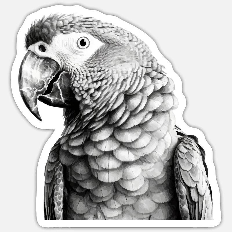 Parrot in pencil - Sticker size S (10 x 10 cm) - white matte