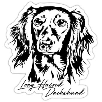 Teckel à poil long Portrait Chiens Chien Wilsigns - Sticker taille S (10 x 10 cm) - blanc mat - Devant