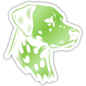 Dalmatian, dog head, drawing green - Sticker size S (10 x 10 cm) - white matte - Front