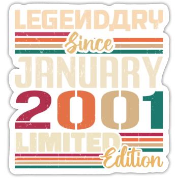 Birthday Gift Born in January 2001 - 2001 - Sticker size S (10 x 10 cm) - white matte - Front